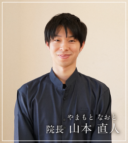 安城市　整体