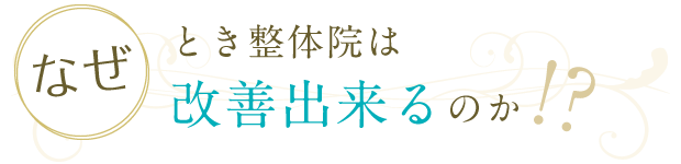 安城市　整体